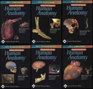 (FREE) Aclands DVD Atlas of Human Anatomy (Full 6 DVDs)